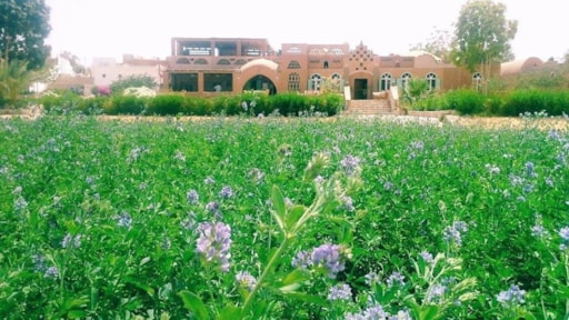 Eskaleh Nubian Ecolodge 