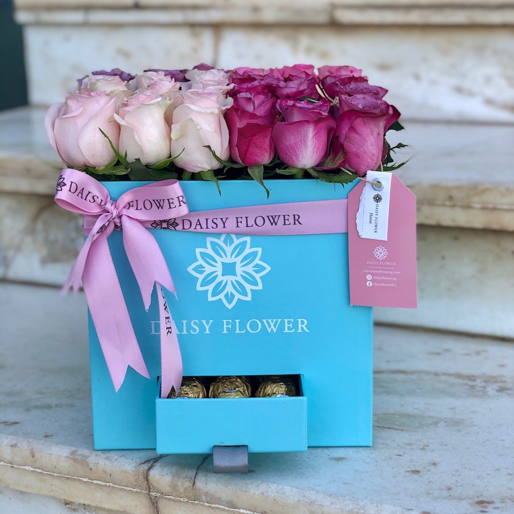 Daisy Flower Best of Cairo